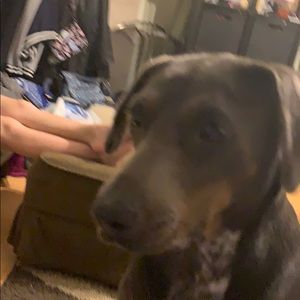 Meet your Posher, Christina